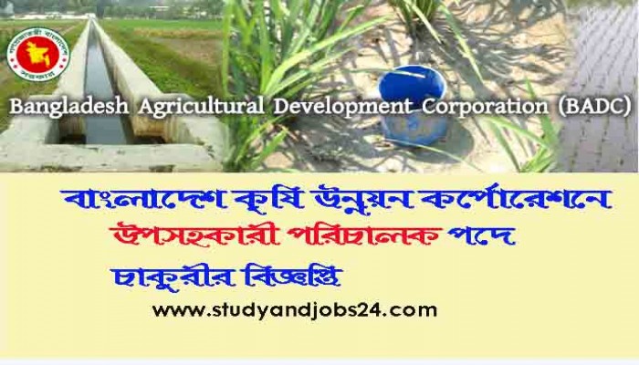 Job opportunity at BADC