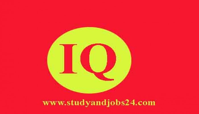 IQ: Which eye is similar to Mr. Bean?