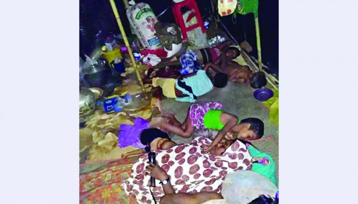 উদ্বাস্তু রোহিঙ্গা
