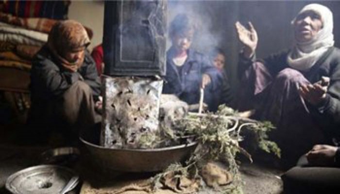 রাখাইনে ঘাস খেয়ে রোহিঙ্গাদের জীবনধারণ 
