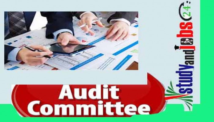 Audit Committee